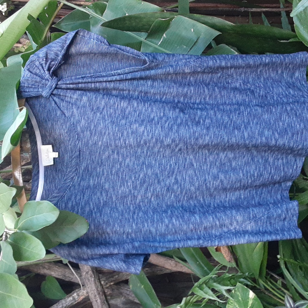 Deletta Anthropolgie Top